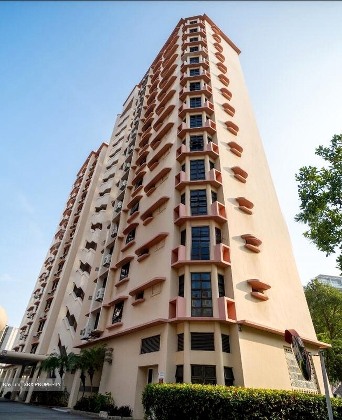 Parkway View (D15), Apartment #500532831